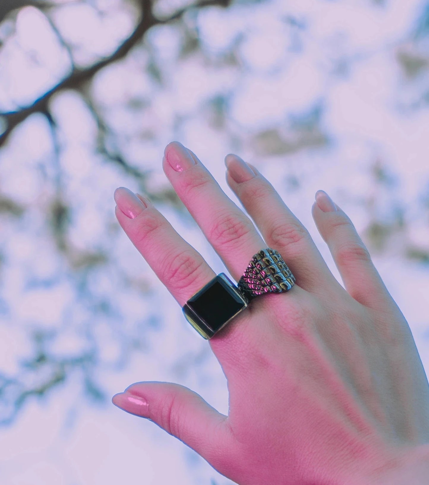 Anillo REPTILIS