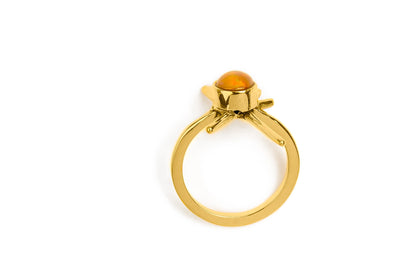 Anillo PULSAR