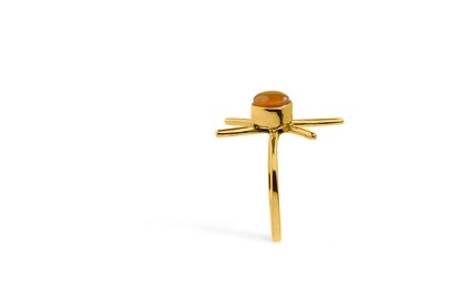 Anillo PULSAR