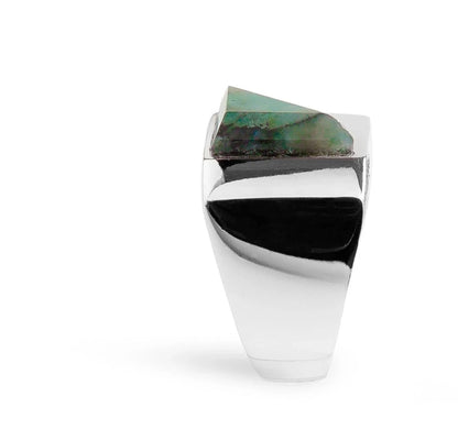 Anillo TRITON