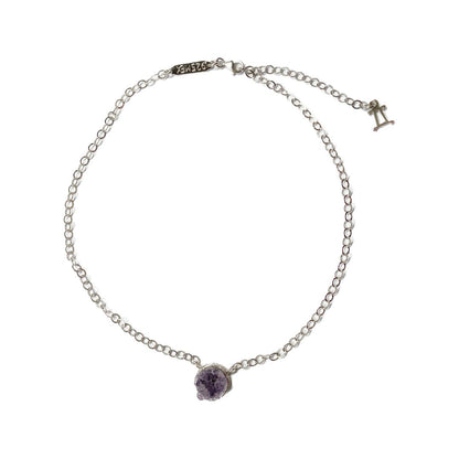 Chocker cosmos